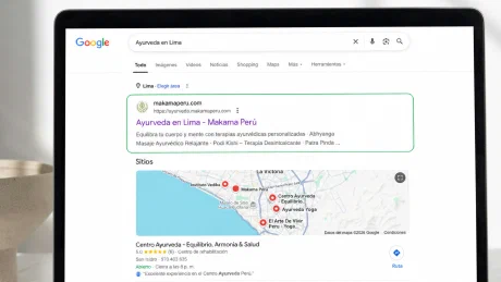 Primeros lugares en Google para búsquedas de ayurveda y bienestar natural
